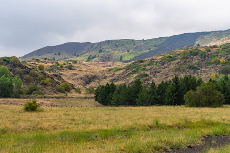 View of Etna volcano landscape among the clouds near Rifugio Sapienza. The typical summer vegetation and flowers partially cover the lava flow. Sicily, Italyの写真素材