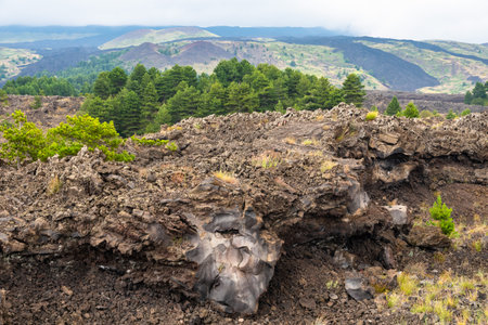 View of Etna volcano landscape among the clouds near Rifugio Sapienza. The typical summer vegetation and flowers partially cover the lava flow. Sicily, Italyの写真素材