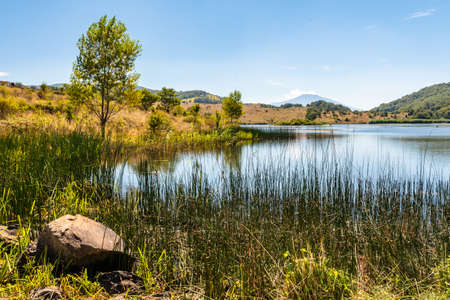 View of Biviere lake with Etna volcano, Nebrodi National Park, Sicily, Italyの写真素材