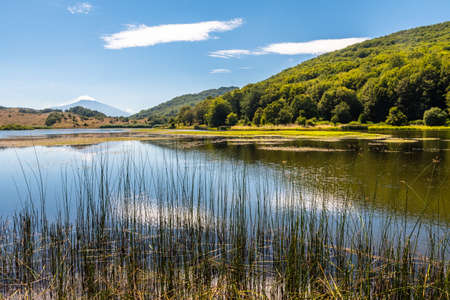 View of Biviere lake with Etna volcano, Nebrodi National Park, Sicily, Italyの写真素材
