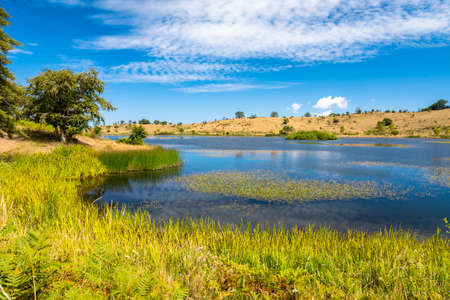 View of Biviere lake on a sunny summer day, Nebrodi National Park, Sicily, Italyの写真素材