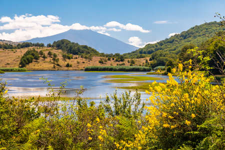 View of Biviere lake with Etna volcano, Nebrodi National Park, Sicily, Italyの写真素材