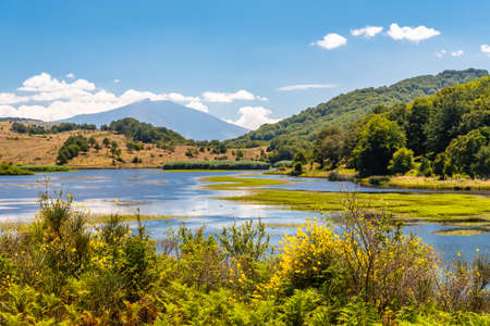 View of Biviere lake with Etna volcano, Nebrodi National Park, Sicily, Italyの写真素材
