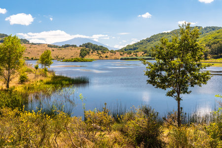View of Biviere lake with Etna volcano, Nebrodi National Park, Sicily, Italyの写真素材