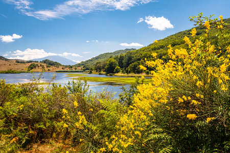 View of Biviere lake with Etna volcano, Nebrodi National Park, Sicily, Italyの写真素材