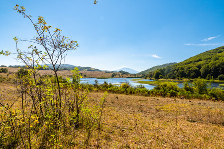 View of Biviere lake with Etna volcano, Nebrodi National Park, Sicily, Italyの写真素材