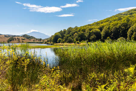 View of Biviere lake with Etna volcano, Nebrodi National Park, Sicily, Italyの写真素材