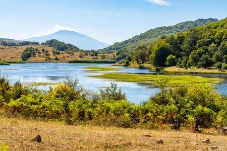 View of Biviere lake with Etna volcano, Nebrodi National Park, Sicily, Italyの写真素材