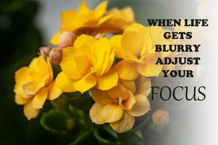 Motivational and inspirational quote - When life gets blurry adjust your focus. Yellow flower and blurred background. Motivational conceptの写真素材