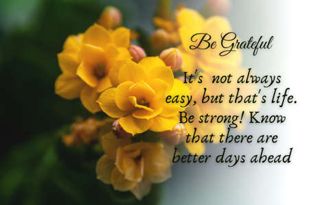 Inspirational quote text - It's not always easy, but that's life. Be strong. Know that there are better days ahead. With yellow flower background. Motivational conceptの写真素材