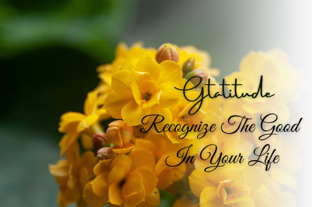 Inspirational quote text - Grateful, recognize the good in your life. With yellow flower background. Motivational conceptの写真素材