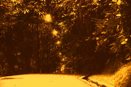 Pathway of a park in vintage color. Copy space concept.の写真素材