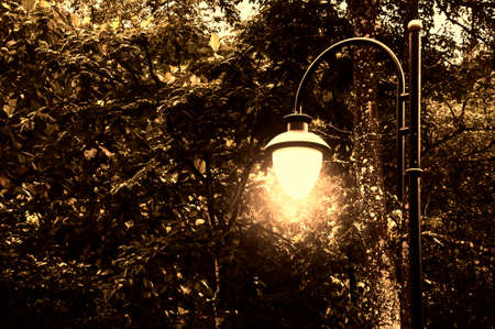 View of shining street lamp in middle of the jungle. Vintage and copy space concept.の写真素材