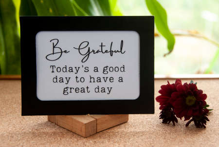 Motivational quote text on notepad - Today's a good day to have a great day. With dark red flower and leaf background. Motivational conceptの写真素材