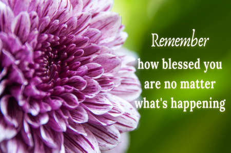 Inspirational quote text with purple dahlia flower background. Motivational conceptの写真素材