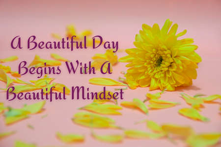 Inspirational quote text with yellow flower petals on light orange color background. Inspirational conceptの写真素材