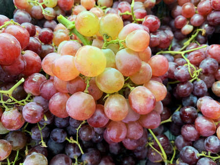 Top view of grapes taken fresh from the farm.
