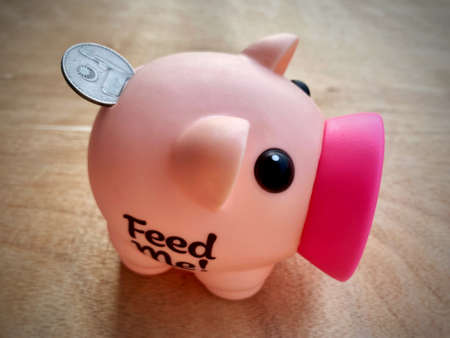 Coin going into piggy for saving money.の写真素材
