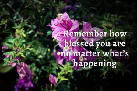 Inspirational and self motivational quotes with flower and nature background. Motivational conceptの写真素材
