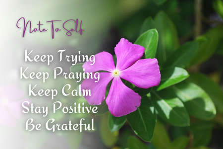 Inspirational and self motivational quotes with flower and nature background. Motivational conceptの写真素材