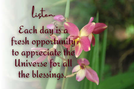 Inspirational and self motivational quotes with flower and nature background. Motivational conceptの写真素材