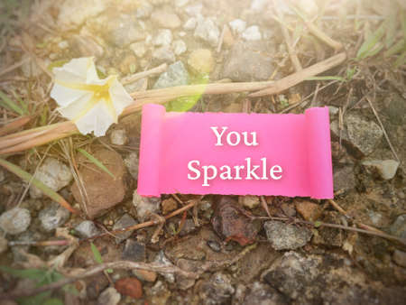 Motivational and Inspiration quote - You sparkle. Motivational conceptの写真素材