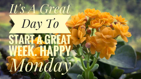 Motivational and Inspiration quote - It is a great day to start a great week. Motivational conceptの写真素材