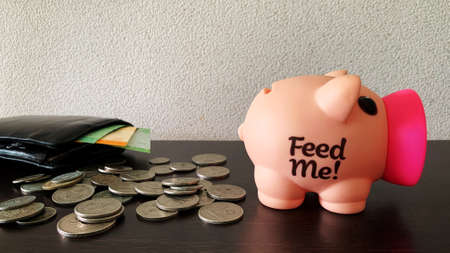 Saving money into piggy bank. Money and coins concept.