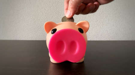 Hand putting coin into piggy bank. Money and coin conceptの写真素材