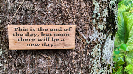 Inspirational quote text on wooden banner about new day. With tree and nature background....