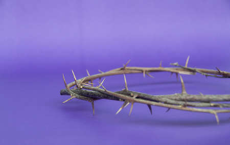 Copy space for Christian prayer text or quote with crown of thorns on purple color background. Copy spaceの写真素材