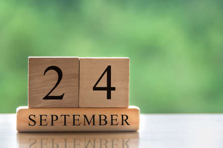 September 24 calendar date text on wooden blocks with copy space for ideas or text. Copy space and calendar conceptの写真素材