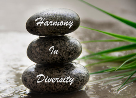 Harmony in diversity text engraved on stones. New business culture concept.の写真素材