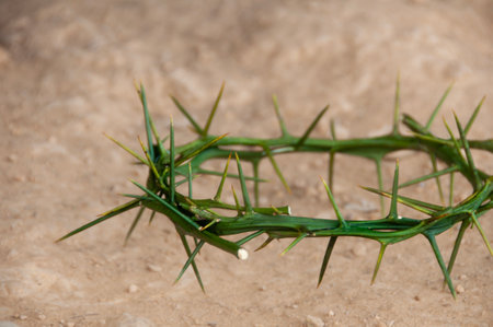 Crown of thorns with customizable space for the and Christian quotes. Copy space and Christianity concept.の写真素材