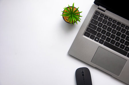 Top view of empty space with laptop, table plant and mouse on white cover background. Copy space.の写真素材