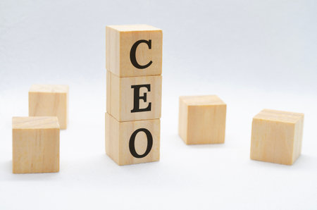 CEO text on wooden blocks on white background with customizable space for text or ideas. Business conceptの写真素材