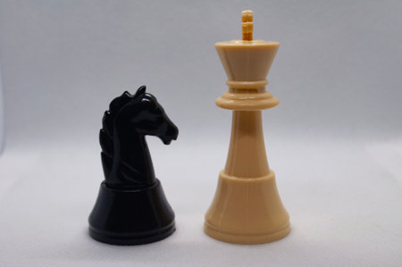 Selective view of black knight and white king battling.の写真素材