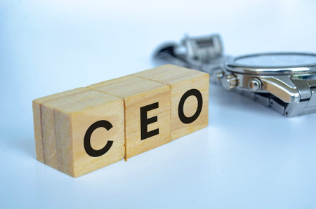 CEO text on wooden cubes representing Chief Executive Officer with customizable space for text. Copy space and Senior Management conceptの写真素材