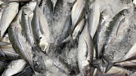 Top view of fresh fish covered with ice display in wet market . Asian food.