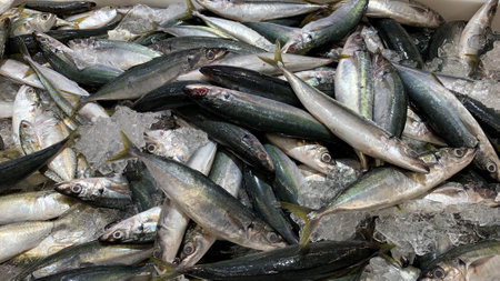 Close up view of fresh sea fish display in market for sale. Seafood conceptの写真素材