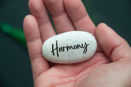 Hand holding Zen stone with Harmony text engraved on the stone. Life harmony concept