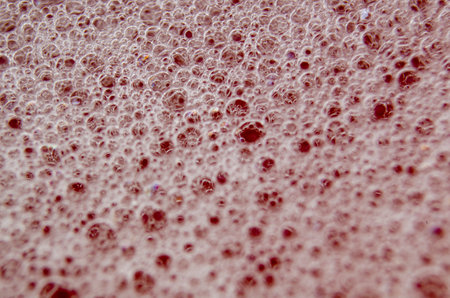Top view of Macro shot of bubbles forming on a water surface.