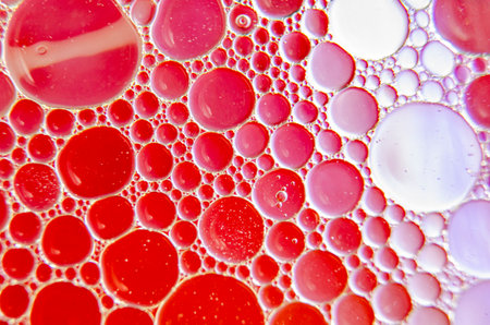 Close-up of oil bubbles suspended on water, creating a hypnotic effect with a soft gradient background.の写真素材