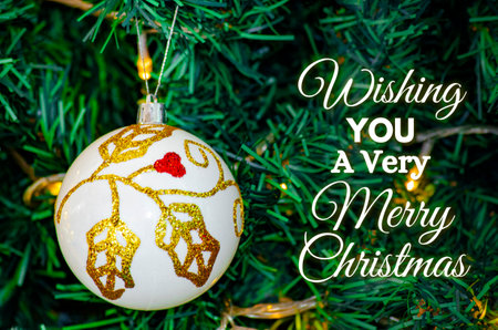 Wishing you a very Merry Christmas text with white Christmas ball background. Christmas celebration conceptの写真素材
