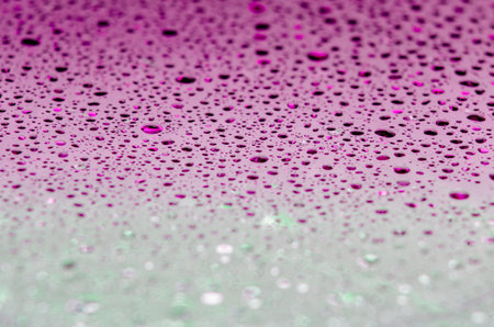 Rain droplets with customizable space for text or ideas.の写真素材