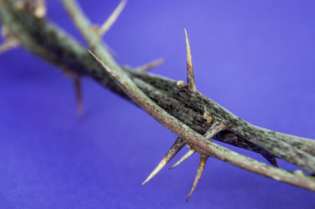Crown of thorns positioned on fabric symbolizing the pain and redemption brought through the crucifixion of Christの写真素材