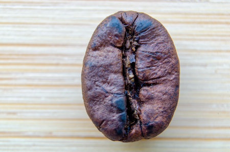 Singular coffee bean with a distinct dark brown tint and subtle glossiness captured in extreme detail on a light wooden background.の写真素材