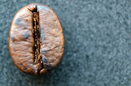 Isolated coffee bean displaying crisp roast detail and a center groove with customizable space for...