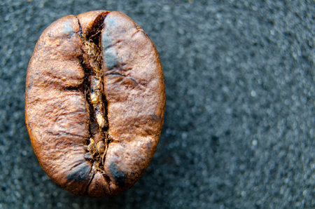 Brightly lit coffee bean with rich brown color sitting on a deep charcoal gray surface with customizable space for text.の写真素材