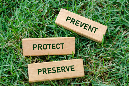 Prevent Preserve Protect text on wooden blocks, emphasizing key steps to sustain and guard the environment. Nature defense concept.の写真素材